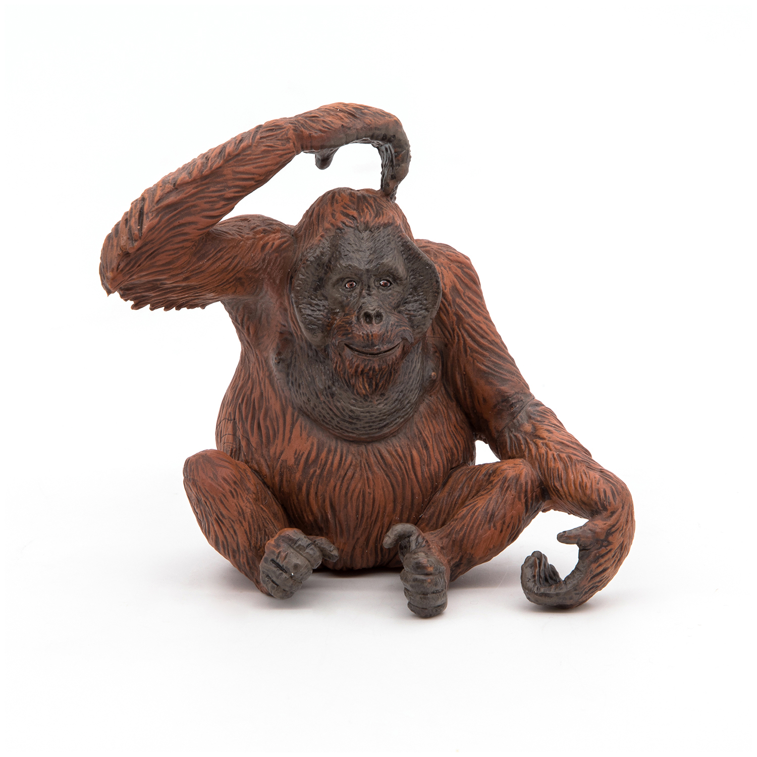 ORANGUTANG