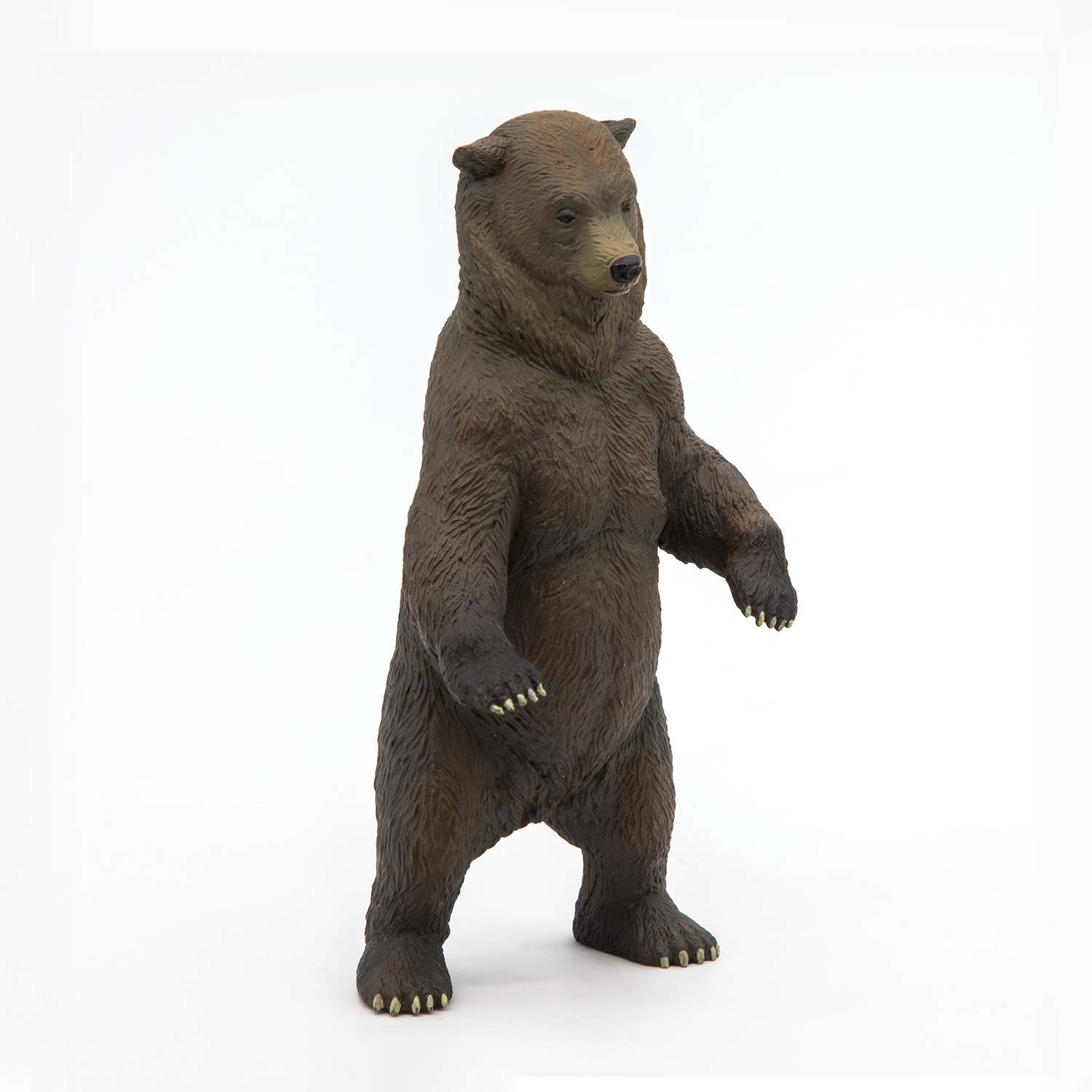 MEDVĚD GRIZZLY