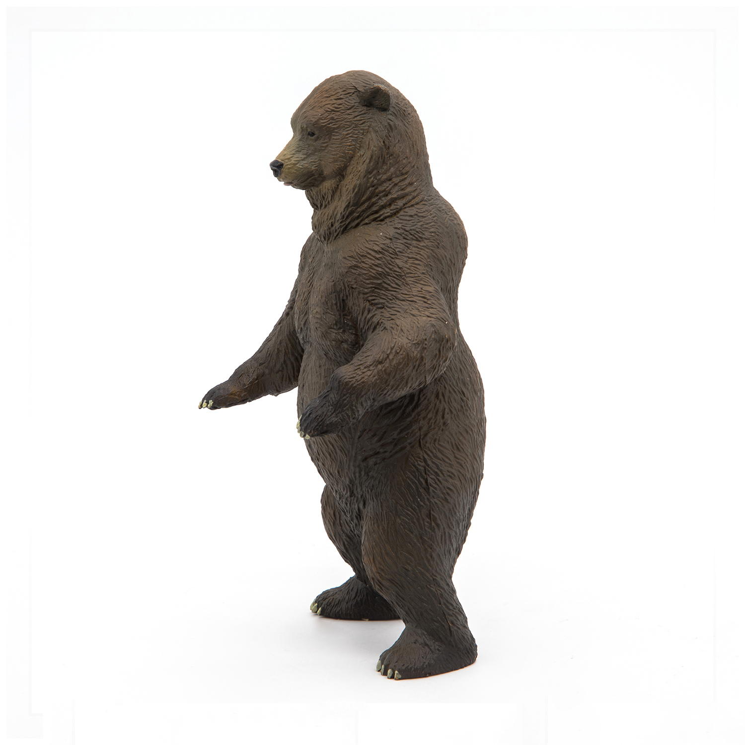 MEDVĚD GRIZZLY