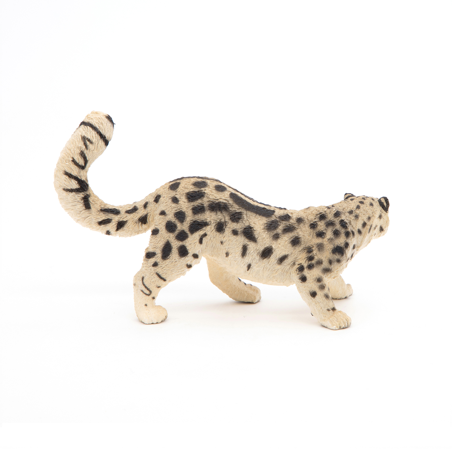 SNĚŽNÝ LEOPARD