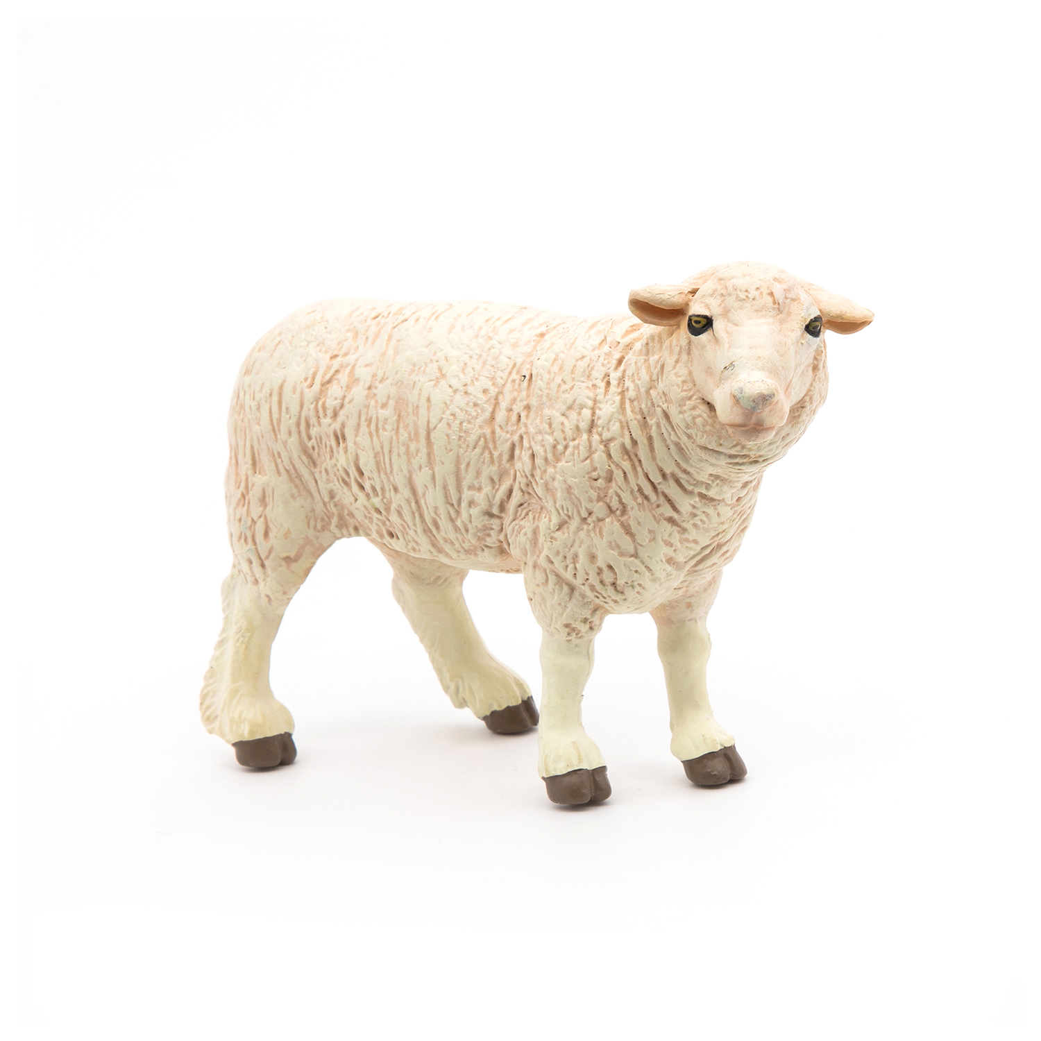 OVCE MERINOS