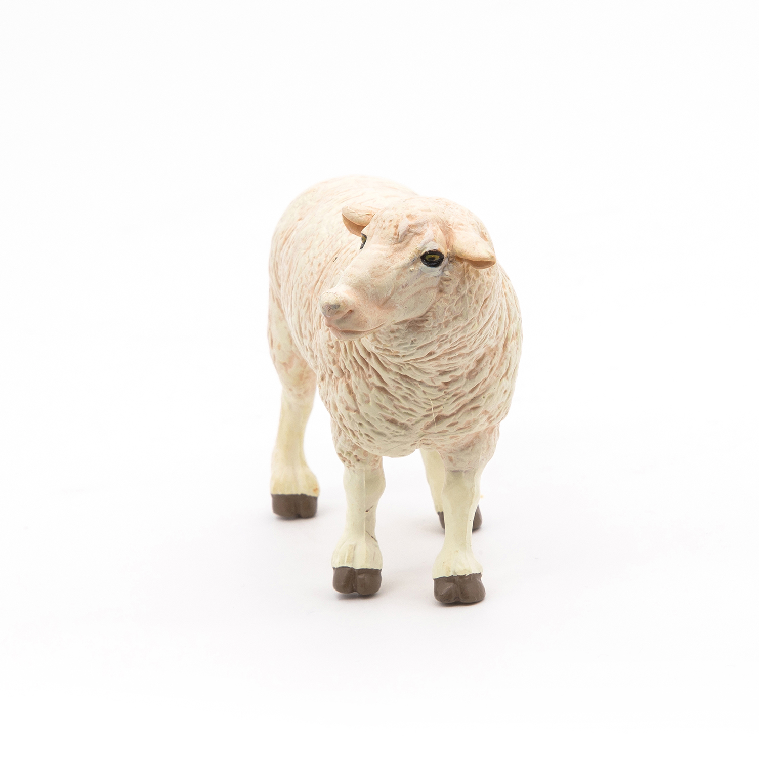 OVCE MERINOS