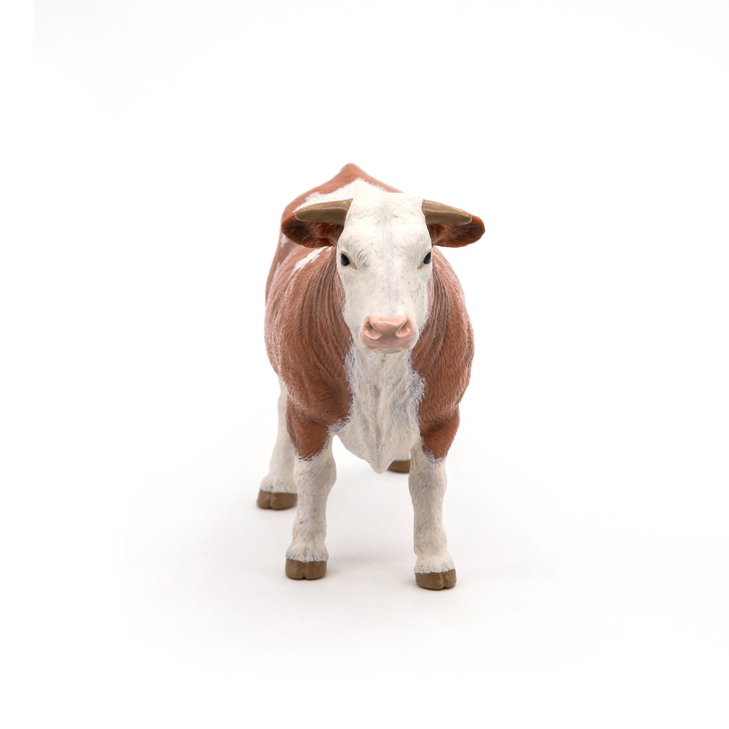 SIMMENTAL BÝK