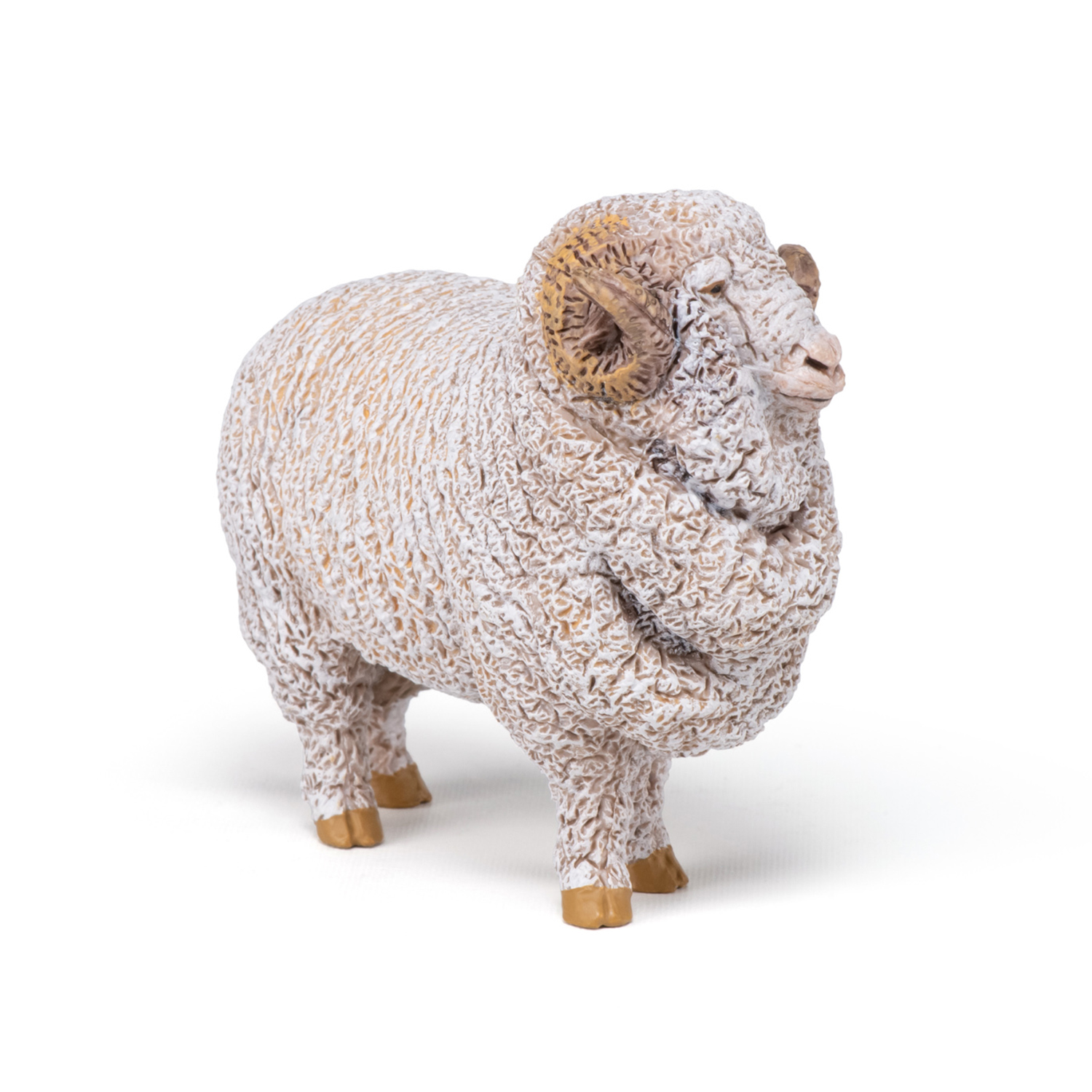 BERAN MERINO
