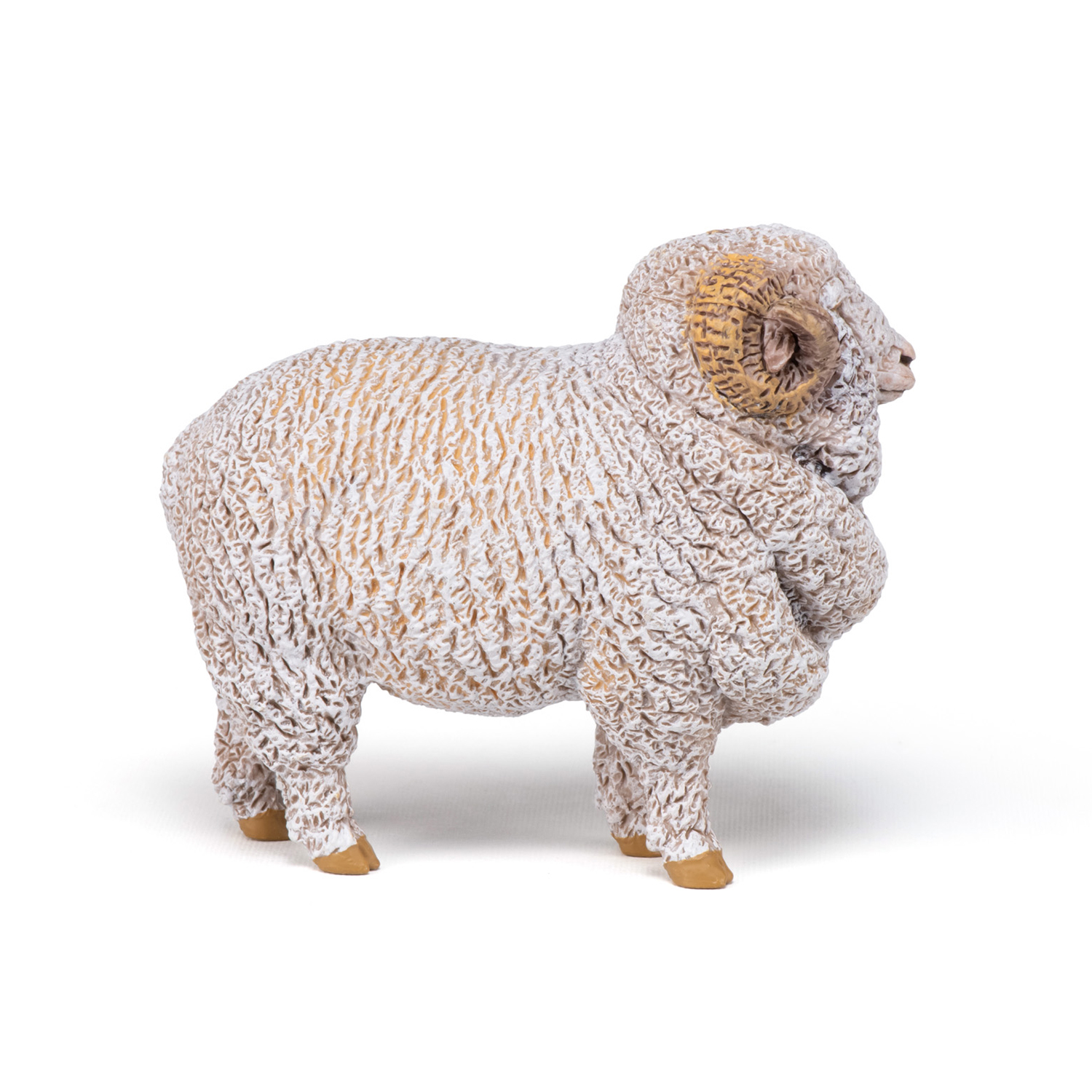 BERAN MERINO