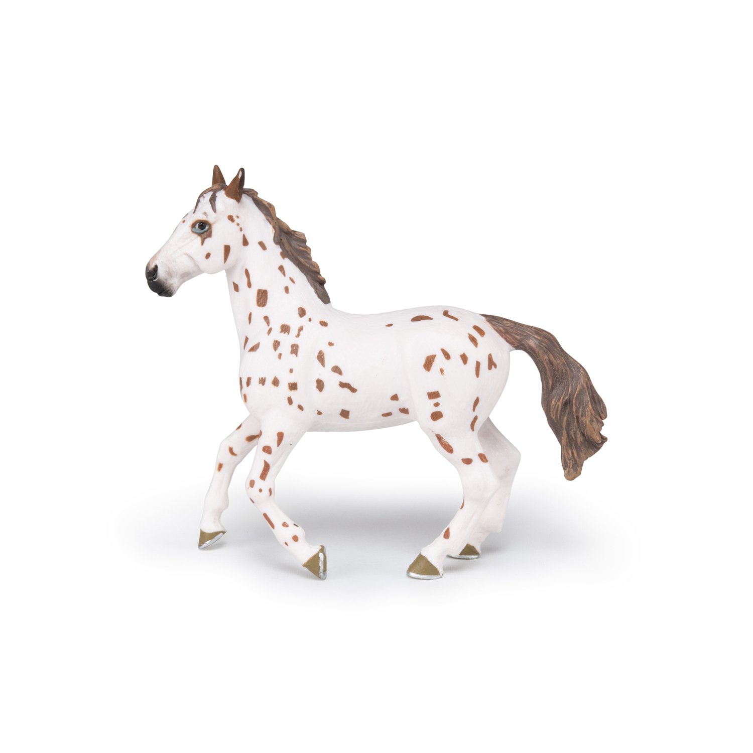 APALOOSA