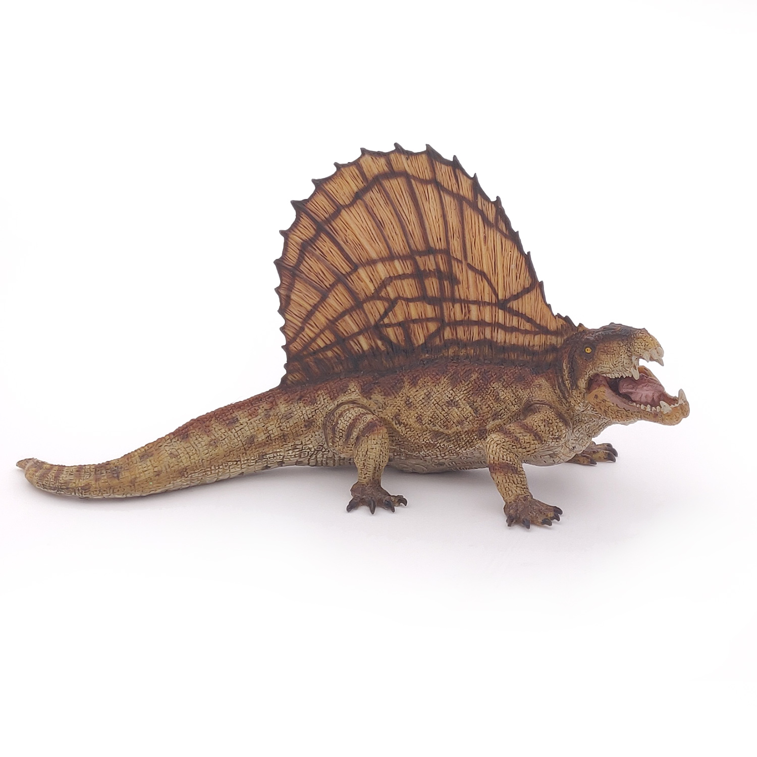 DIMETRODON