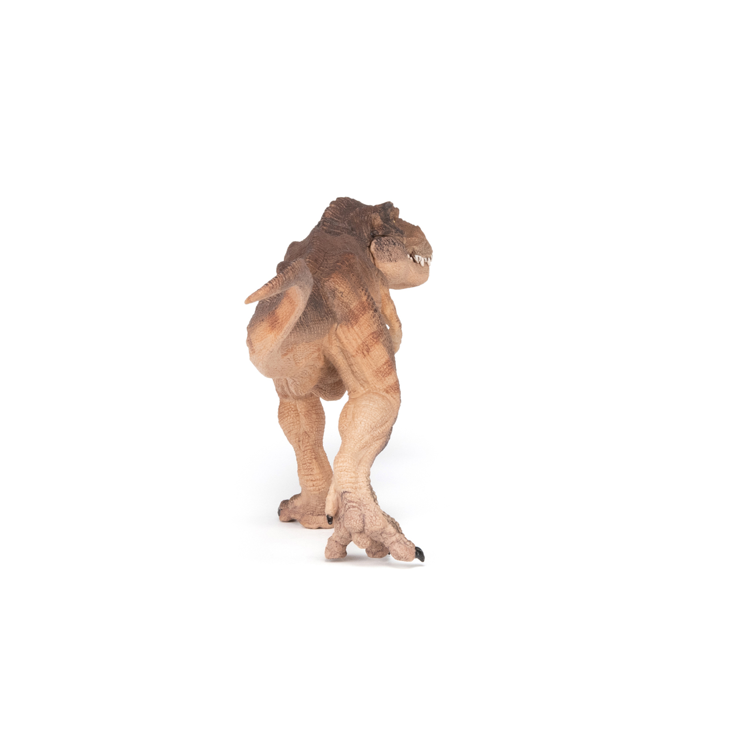 T-REX HNĚDÝ, BĚŽÍCÍ