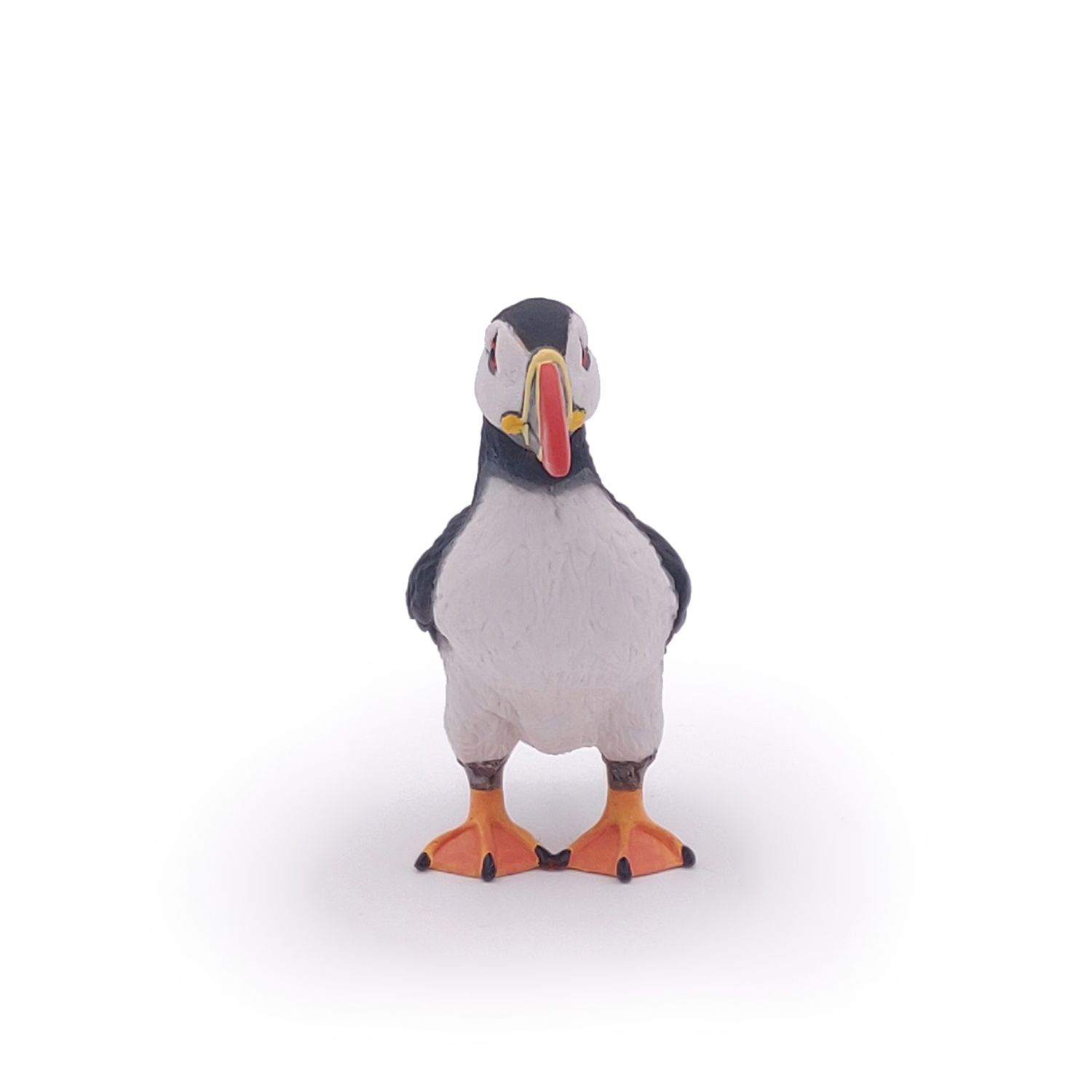 PAPUCHAL