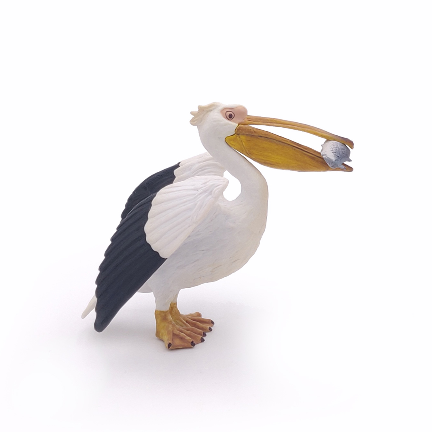 PELIKAN