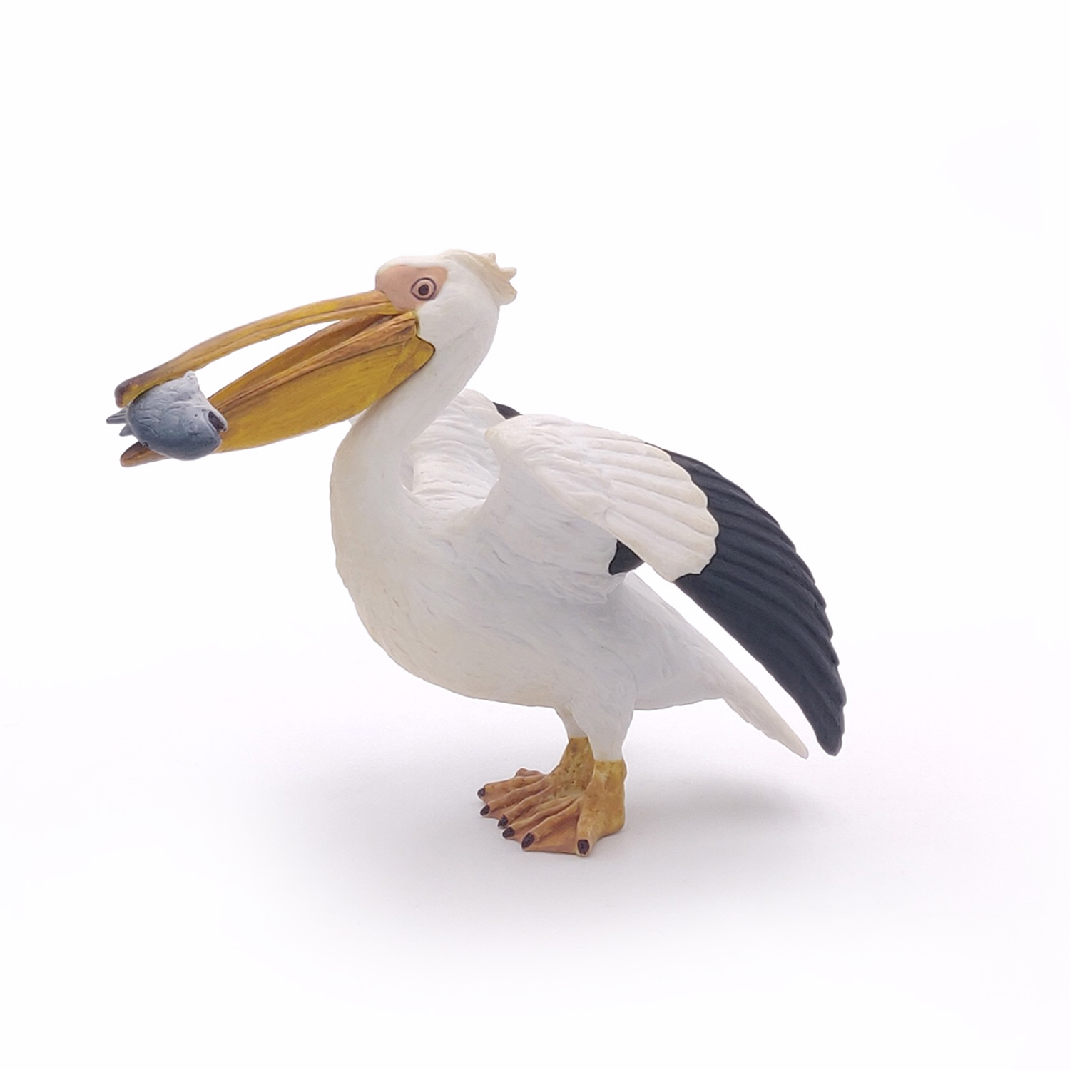PELIKAN