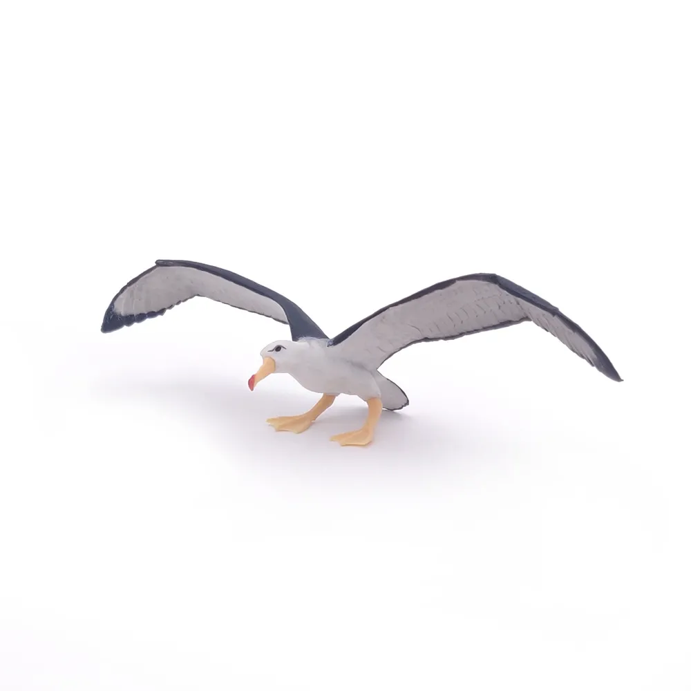 ALBATROS