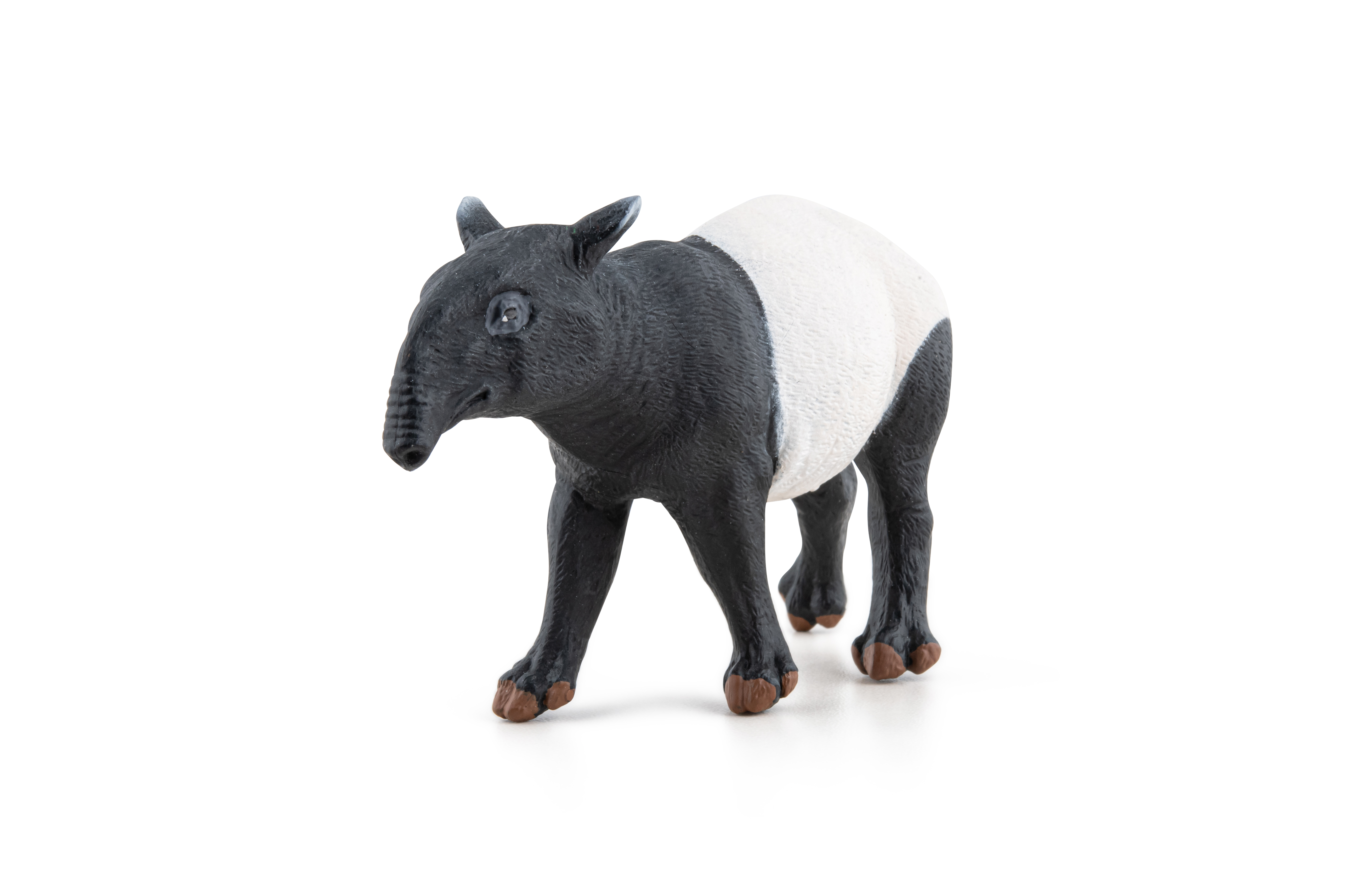 Tapir
