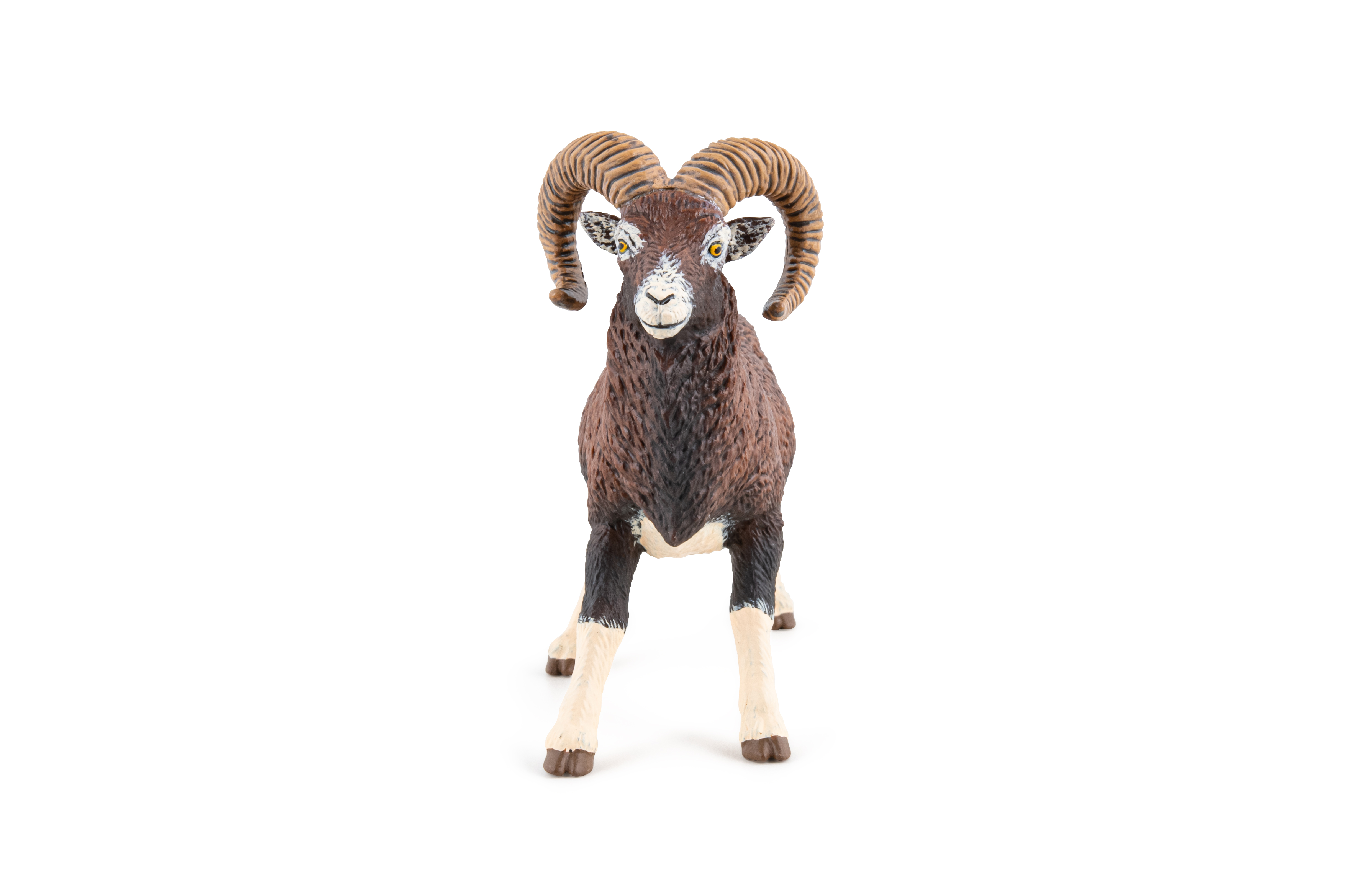 Muflon
