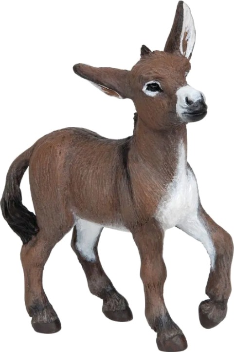 OSEL MLÁDĚ
