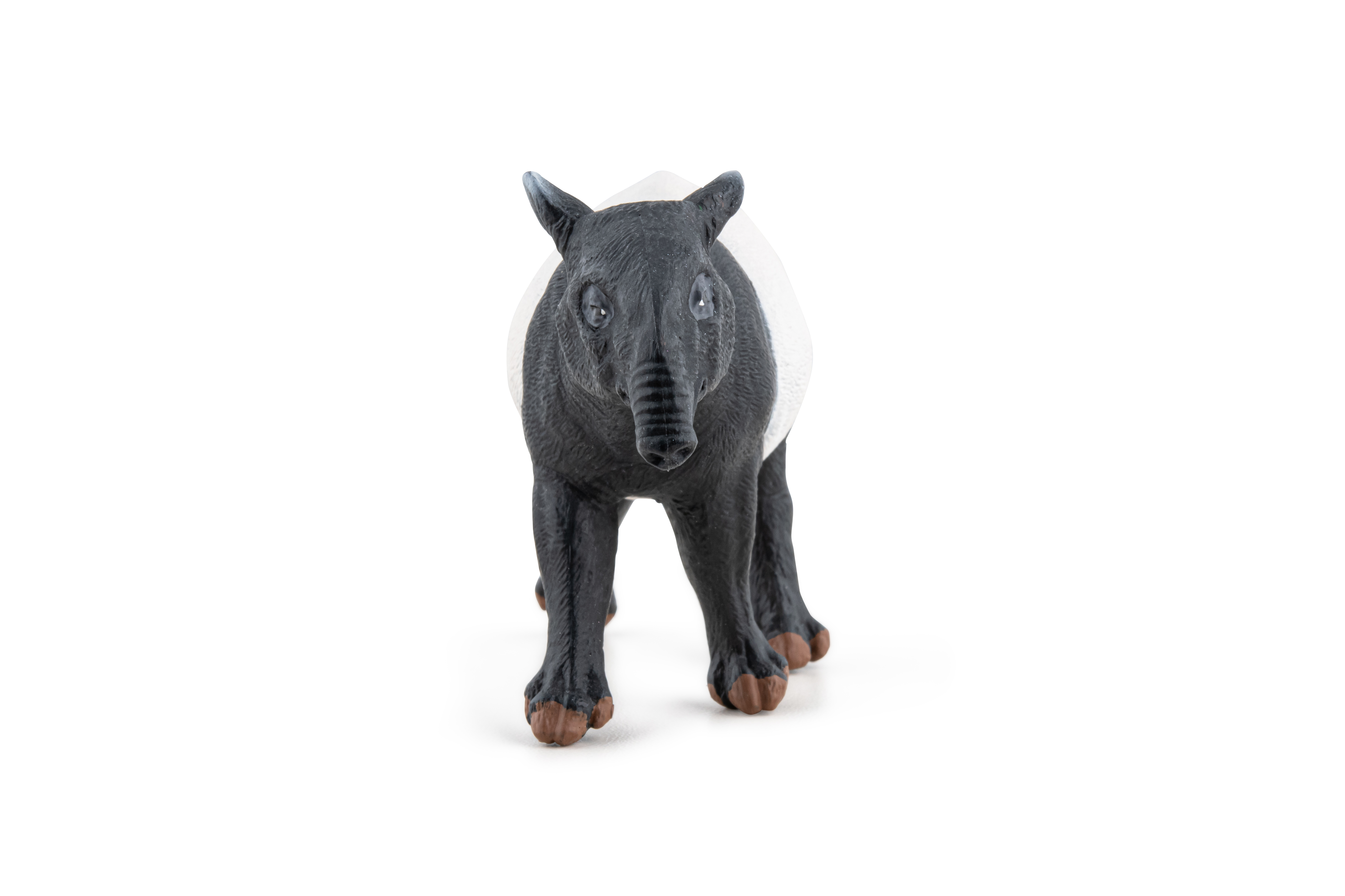 Tapir