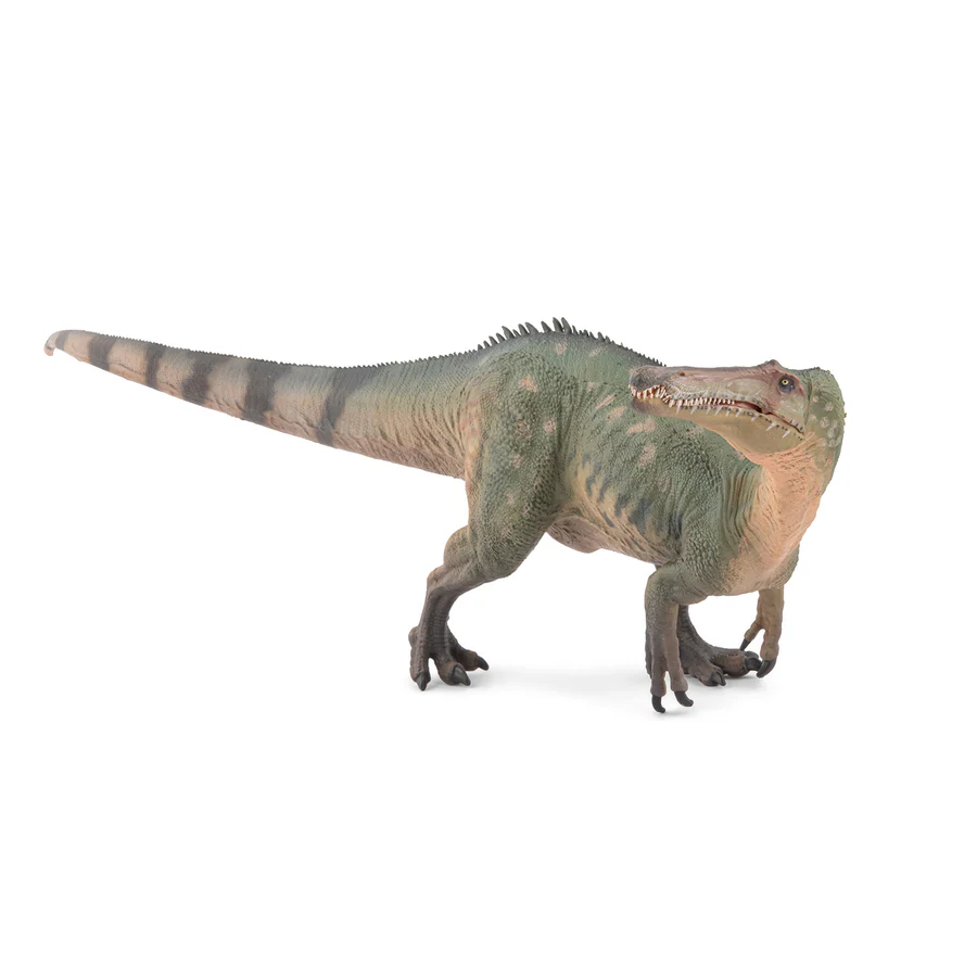 Suchominus