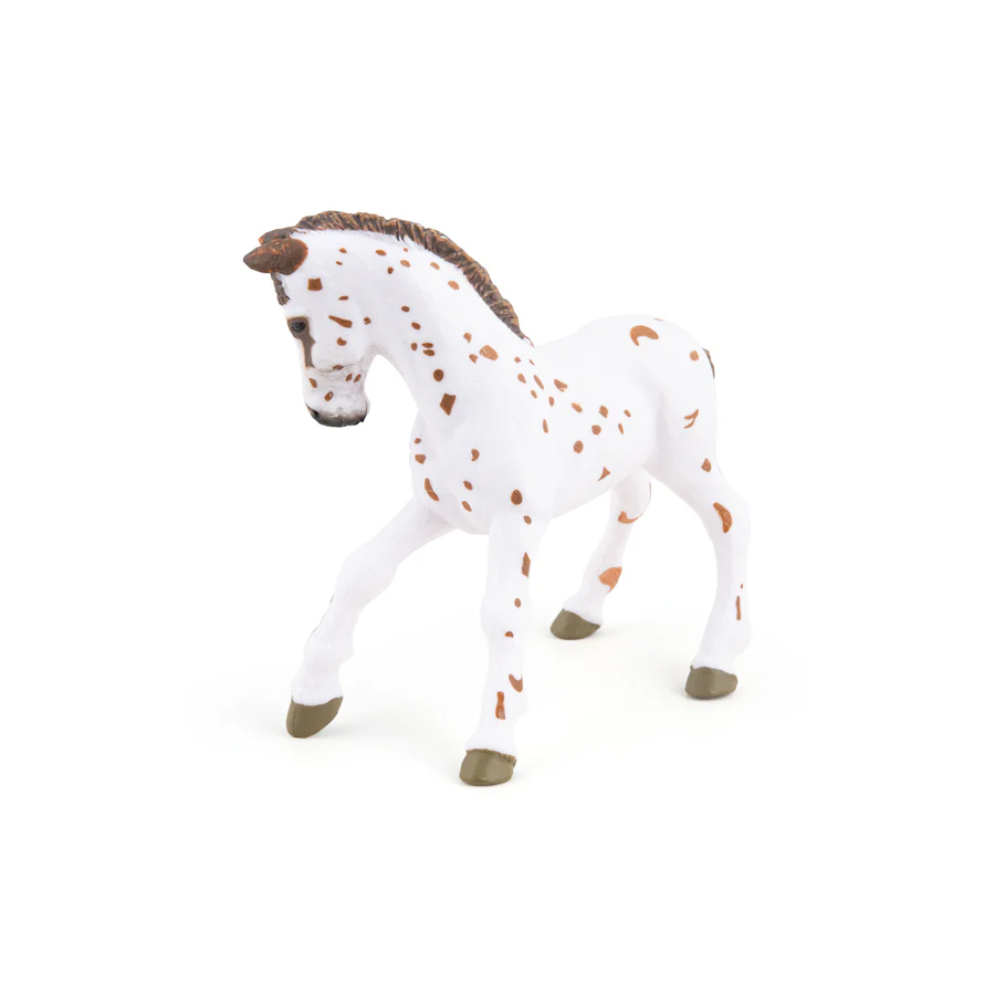 APALOOSA MLÁDĚ