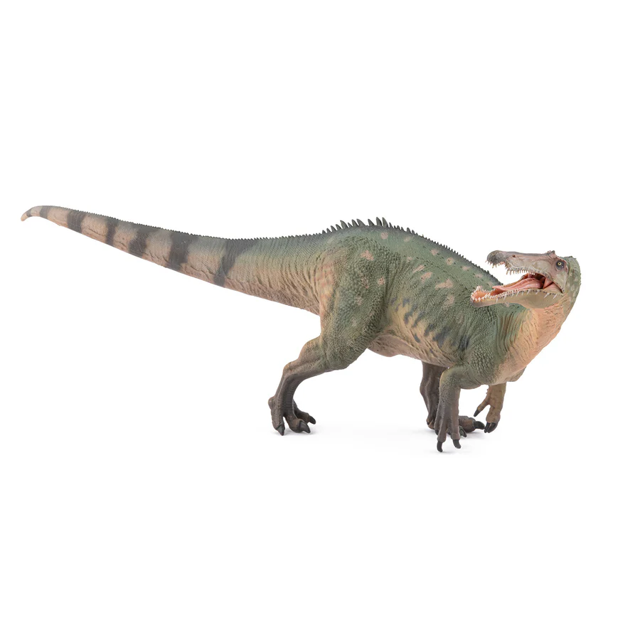 Suchominus