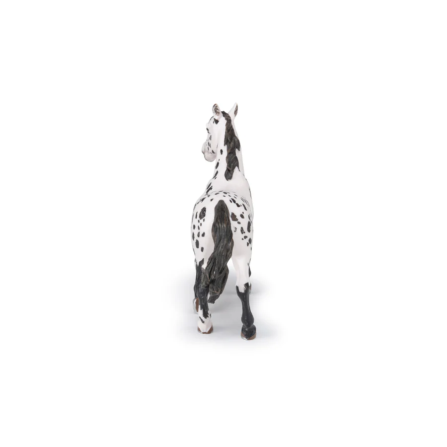 APPALOOSA ČERNÝ