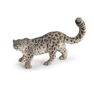 SNĚŽNÝ LEOPARD