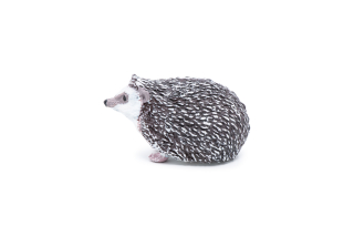 JEŽEK