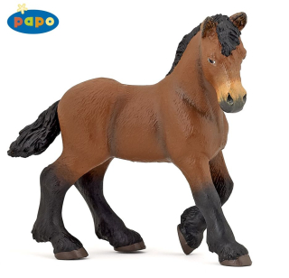 HŘÍBĚ ARDÉNSKÉHO TAŽNÉHO KONĚ