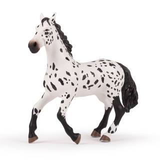 Kůň Appaloosa maxi
